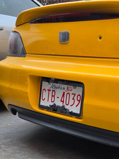Flawed Chrome Plate Frame